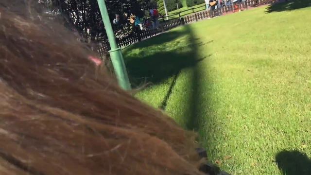 ШОК что произошло в парке Дивоостров? В Санкт-Петербурге 2016. смотреть онлайн