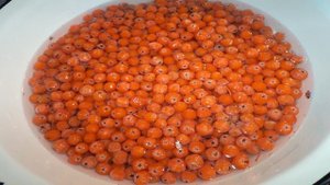 Варенье из сладкой рябины