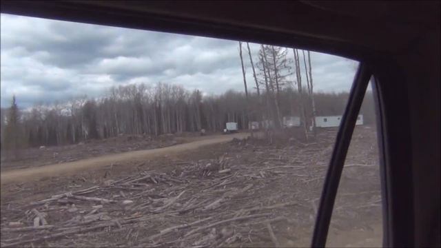 Канадские отшельники. Часть 725. По местам лесозаготовок. смотреть онлайн