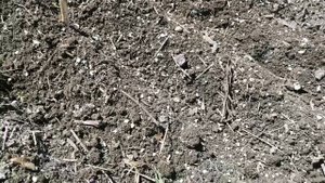 Первая вылазка на усадьбу.mp4