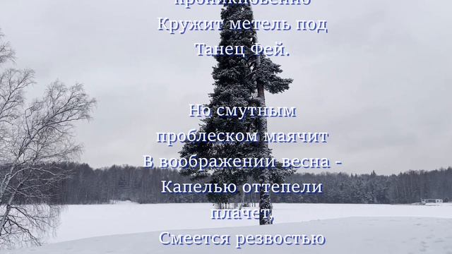 Февраль #поэзия #зимнеенастроение #стихи