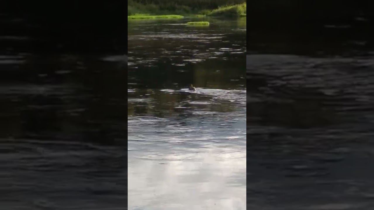 24 сентября 2022 г. смотреть онлайн