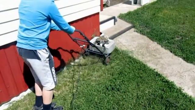 Газонокосилка электрическая из стиральной машины " Чайка" смотреть онлайн