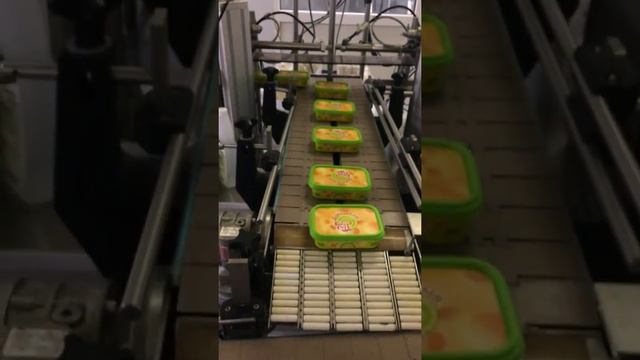 Как упаковывают плавленный сыр в контейнеры на производстве НЕВА МИЛК (тм Город сыра) смотреть онлайн