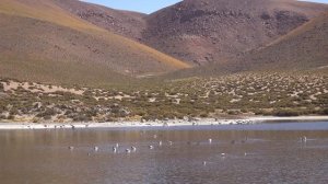 Around San Pedro de Atacama, Chile  [Amazing Places 4K]