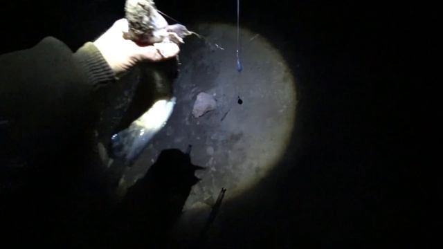 Рыбалка на налима. Открытие сезона 2023. смотреть онлайн