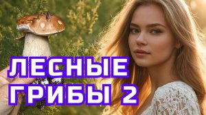 ▶️ Песня - Лесные грибы. ⏩ Слушать. Премьера. Новинка. Онлайн. STUDIO SPRIO. Песня. Музыка.