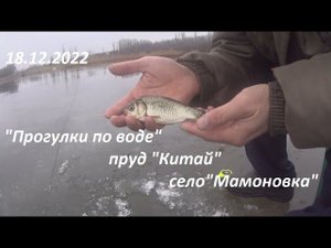 "Прогулки по воде", пруд "Китай", село "Мамоновка", 18.12.2022
