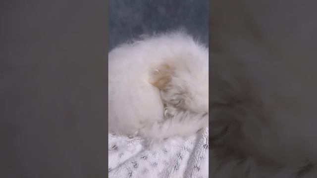 Не хочу вставать!
