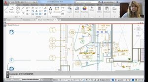 Protect Your AutoCAD System Variables (Lynn Allen/Cadalyst Magazine)