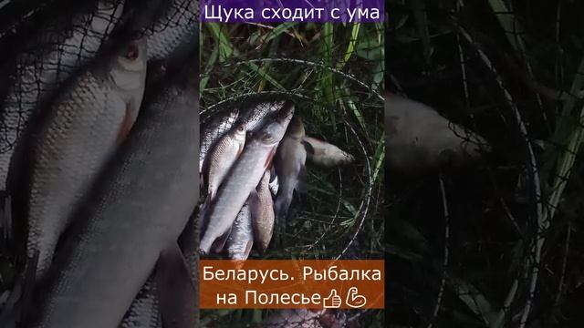 План рыбалки беларусь
