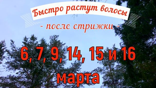 Лунный календарь стрижки Март 2022. Благоприятные и неблагоприятные дни для стрижки волос