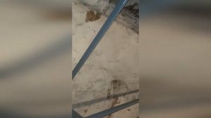 Стеллаж в погребе своими руками