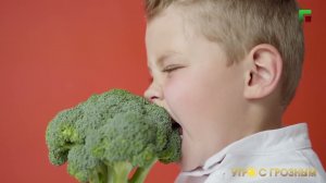 ЧТО ТАКОЕ МИГРЕНЬ И КАК С НЕЙ БОРОТЬСЯ