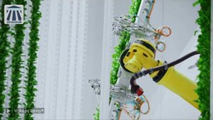158 Innovation from Plenty (House of Innovation)