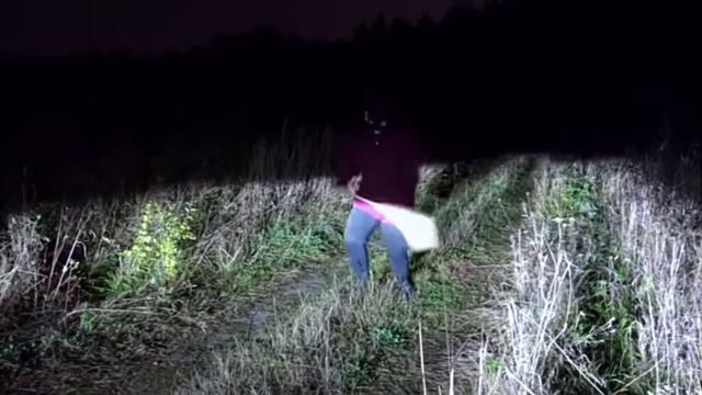 Видос ребят Морковь про смотреть онлайн