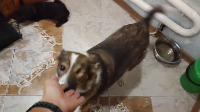 Лия ищет дом. Волгоград смотреть онлайн