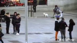 Криштиану Роналду  на улице играет футбол .