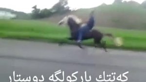 Самая быстрая лошадь в мире The fastest horse in the world