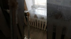 Ещё одна просроченная монтажной пены