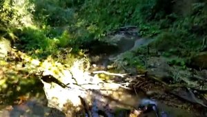 Новосвободная станица