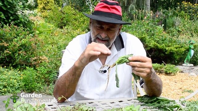 Make Weeding Easier ??? Spend Less Time Weeding смотреть онлайн