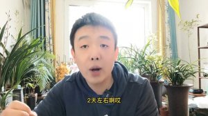 你还不会种发财树、蝴蝶兰、沙漠玫瑰？快来学这套浇水的万能公式！新手超实用！【禅艺绿植工作室】