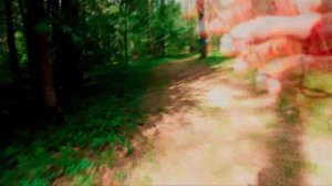 Спортивное ориентирование. Классика 16.05.2021