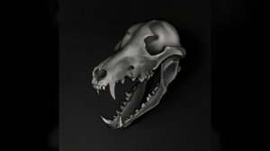 Рисунок в Procreate ? Болталка + процесс - Череп собаки?