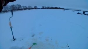 Со ВСПЫШЕМ в протоки дельты Северной Двины..23.02.2019.