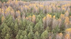 расслабляющая классическая музыка: Моцарт |  Бетховен | Шопен | Бах  Чайковский... Серия 16