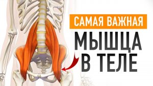 Как избавиться от боли в пояснице? 5 минут пользы для вас