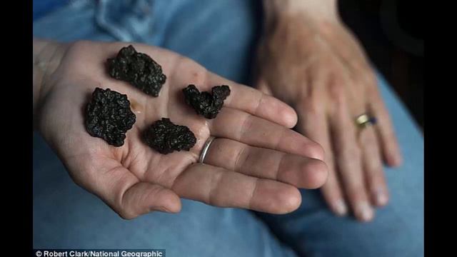 Viking settlement of 'Hop' is in New Brunswick, claims archaeologist смотреть онлайн