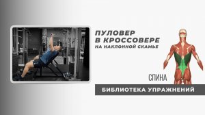 Прокачка спины и пресса в одном упражнении. Нюансы на которые не обращают внимание.