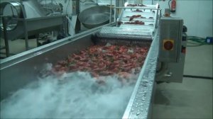 Конвеерная мойка овощей и фруктов