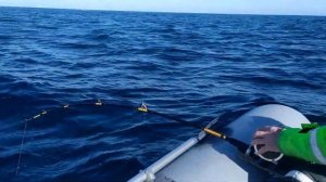 Морская рыбалка на треску  Баренцево море  Мурманск  Териберка. Клев Sea fishing