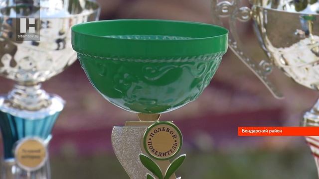 Состязания континентальных легавых собак прошли в Тамбовской области смотреть онлайн