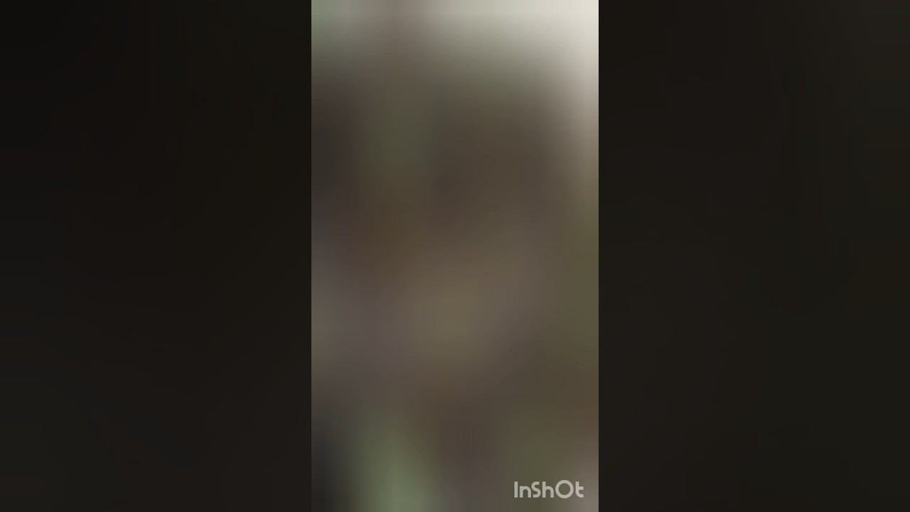 Эустома 45 дней от посева #рассадаэустомы #рассадачкаловск