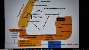 ФРУКТОЗА! ЧТО ЗА НЕЙ КРОЕТСЯ?