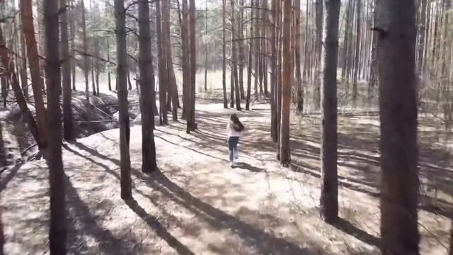 Весенний лес ? смотреть онлайн