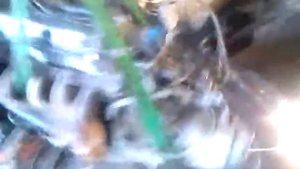 Hafei Lobo/Brio результат съема двигателя