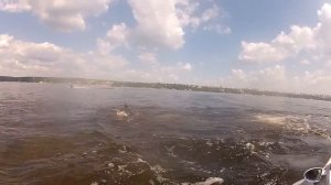 FlyBoard Самара Новичек