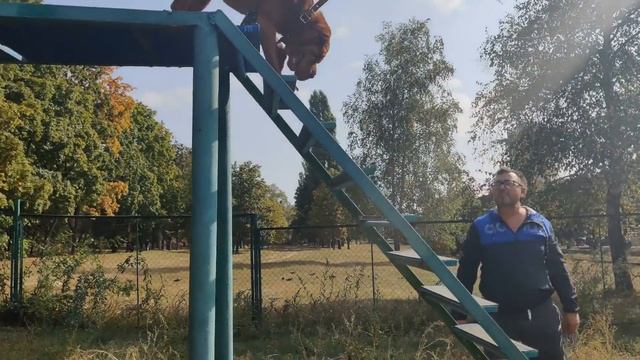 Барьер для любимых собак - лестница. Шарпей 2020 Die Barriere für Hunde ist eine Leiter. Shar Pei смотреть онлайн