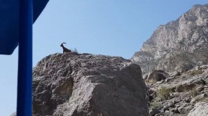 Shohimardon paqirchada sayohat/Шахимардан красивые места