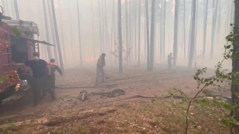 Тушением природных пожаров в Ивановской области занимается 1200 человек