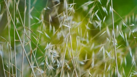 Легкая фоновая музыка/Lounge Music 2020 #loungemusic #relaxmusic #chilloutmusic #фоноваямузыка#背景音楽