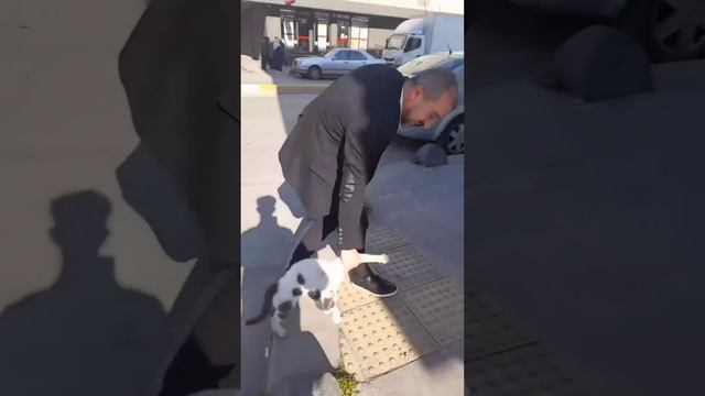 #ДомашниеПитомцы