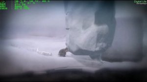 Never Alone (Обзор)