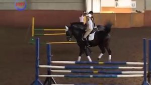 Конный спорт