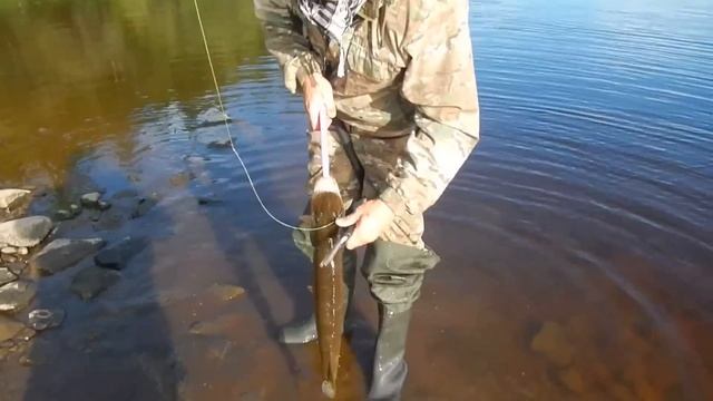 щуки севера смотреть онлайн